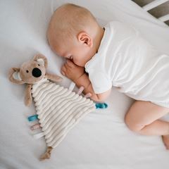Plyšová hračka/prítulníček KOALA CHARLIE, béžový (3)