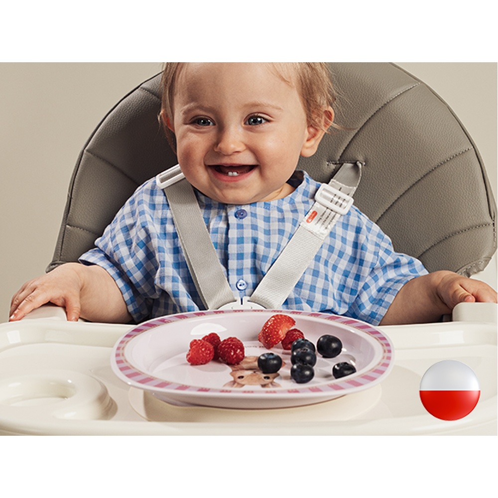 Tanier s prísavkou Canpol Babies Woodland ružový, 6m+