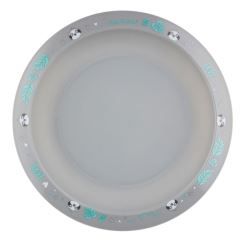 Canpol babies Plastová sada riadu Exotic Animals - Leňochod (2)